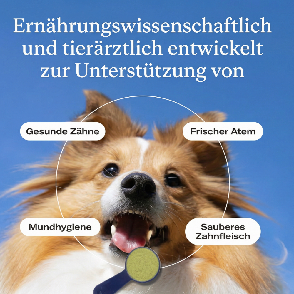 ProBright Tierzahnpulver