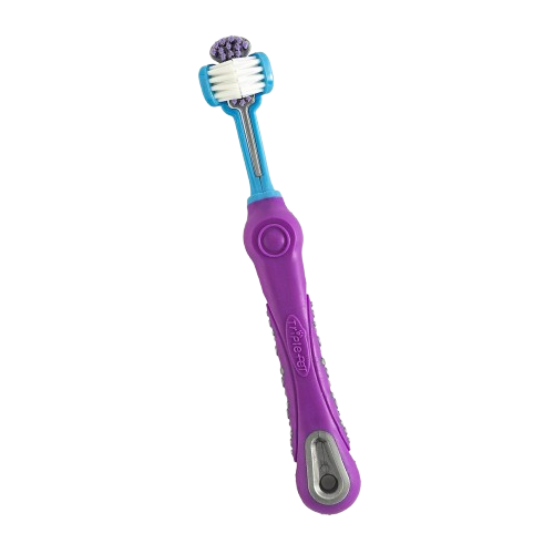 Katzen / Hundezahnbürste